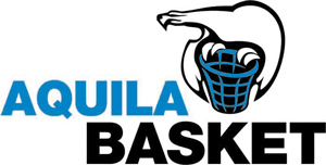 Aquila-basket