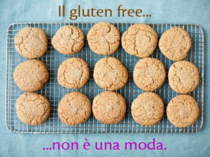 gluten free no moda