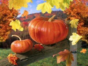 la zucca e foglie d'autunno