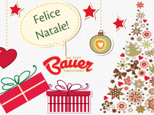 Natale, felicità, Bauer