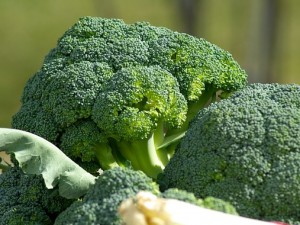 cavoli-broccolo