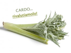 cardo-rivalutiamolo-cucina